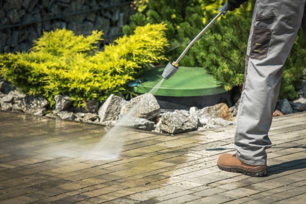 Best Animal Enclosure Cleaning  in Indian Shores, FL